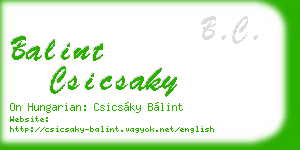balint csicsaky business card