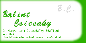 balint csicsaky business card